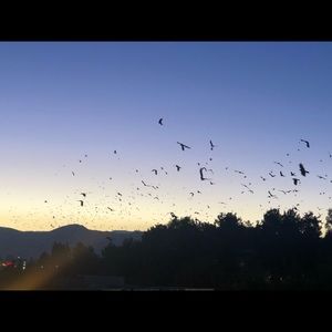 Meet your Posher, Codylee